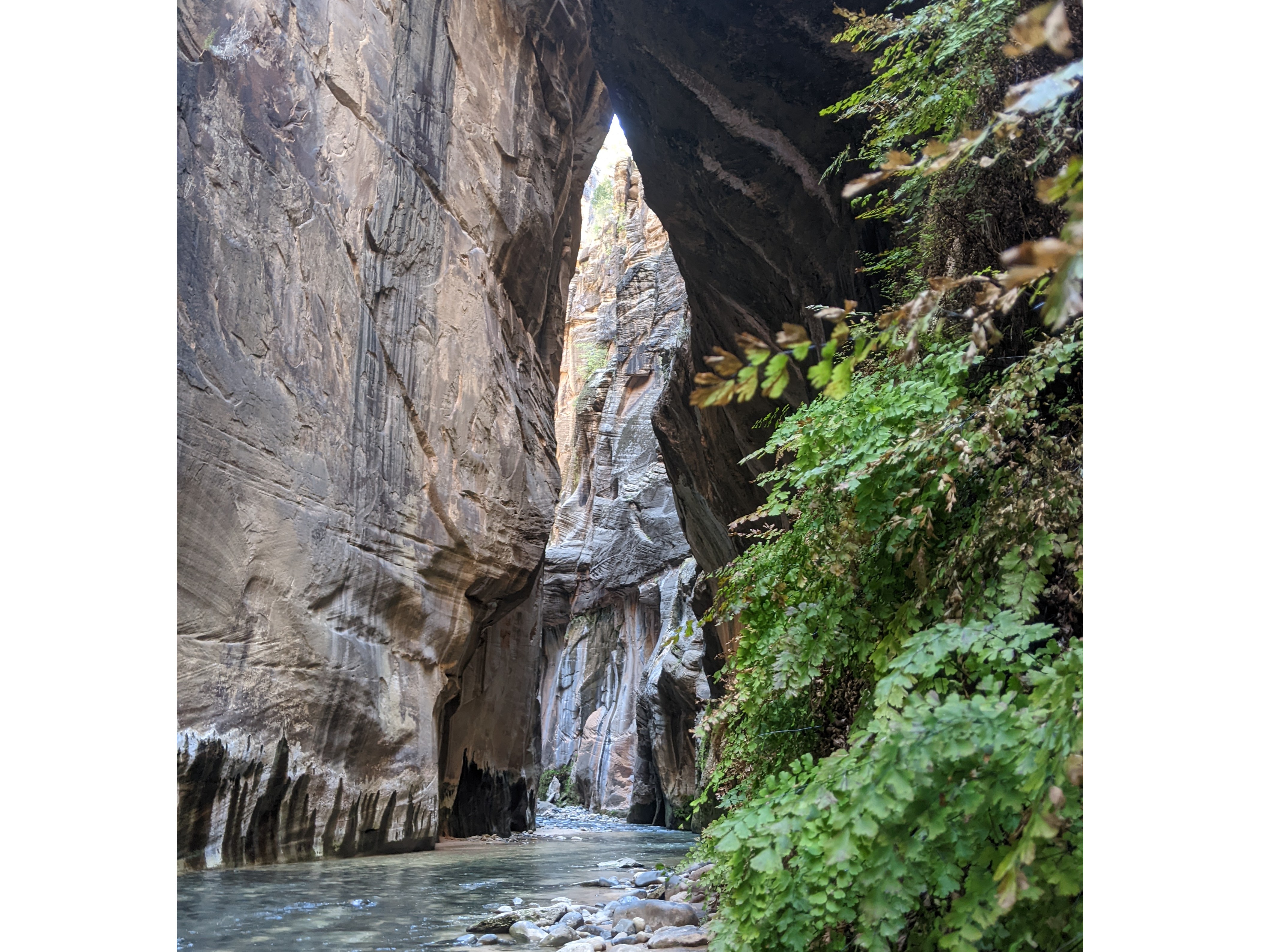 The Narrows